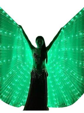 Women's Green Led Light Up Wings Imported Belly Dance Halloween Costume